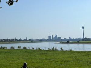 Wohnung mit Balkon am Rhein