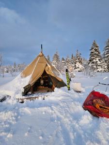 Tipi Mountain Camp