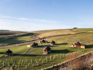 Belstruther Glamping