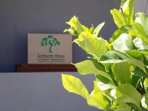 Lemon Tree boutique apartments - Private pool