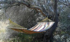 Su Furriadroxu Tuerredda img21