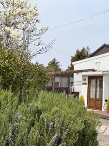 Fun Guesthouse Adjacent to Seongsan Ilchulbong - Pangdu-dong