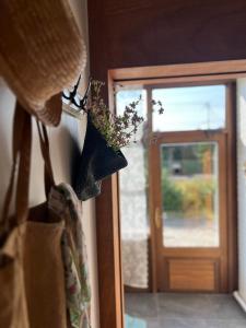 Fun Guesthouse Adjacent to Seongsan Ilchulbong