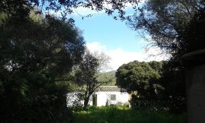 Su Furriadroxu Tuerredda img29