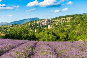 Maisons de vacances FUVOLEA, Maison de vacances a 15 min du centre d'Aix-en-Provence, piscine chauffee en saison - jardin - parking prive gratuit : photos des chambres