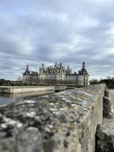 Appartements La balade de Chambord : photos des chambres