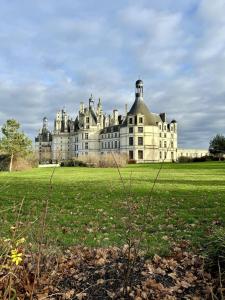 Appartements La balade de Chambord : photos des chambres