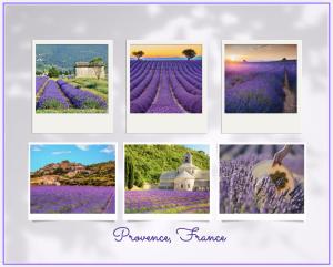 Maisons de vacances FUVOLEA, Maison de vacances a 15 min du centre d'Aix-en-Provence, piscine chauffee en saison - jardin - parking prive gratuit : photos des chambres