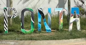 Casa das Palmeiras - Palm Tree House - David