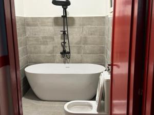 Near Egyptian museum downtown studio