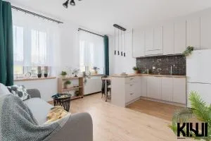 Sanocka spot, Hospital Kopernika - Rokicie