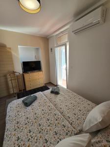 Ivana central apartment