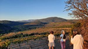 La Barbacane de Cascastel-des-Corbières