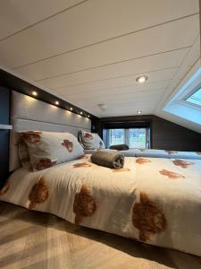 Lodges at Moody Meadows