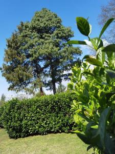 Our Place-at-Notties Self-contained 1-Bed Unit