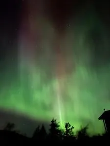 Modern Family Cabin At Vegglifjell - Bakko