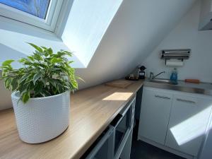 Apartment- Private studio in detached house