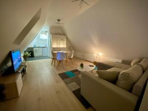 Appartements Apartment- Private studio in detached house : Appartement 1 Chambre