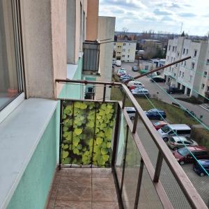 Apartament Agnes