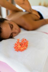 2 Bedroom Mediterranean Villa with Private Pool & Paddy view, Canggu