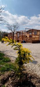 Feudo Mallav little wooden house b&b Noto