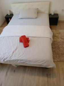 Room Mateo