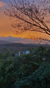 Kandy Hill Escape
