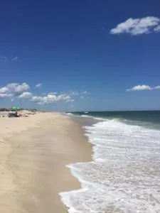 Bellport Village Gem - 法明维勒