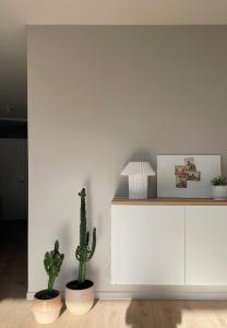 La terrasse des sources