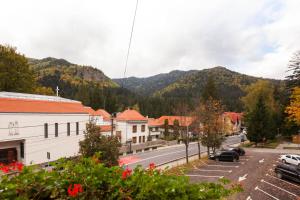 Pensiunea Ritz