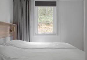 Campings Camping RCN Le Moulin de la Pique : photos des chambres