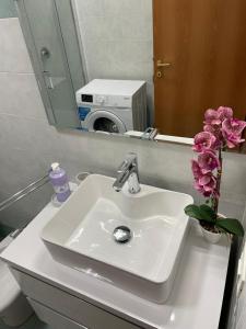 Appartamento La Pineta