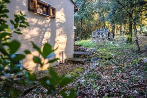 San Francesco Umbria Natura & Relax