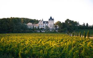 Hotels Chateau Les Carrasses : photos des chambres