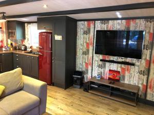 Sandy Balls Holiday Park Pet Friendly Lodge