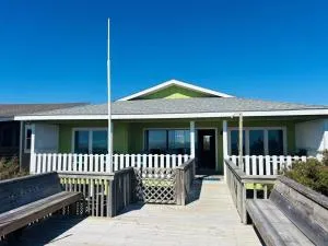 When Pigs Fly Home - 霍尔顿海滩