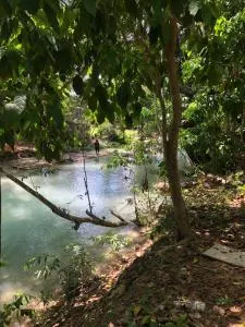 Idle a while - Roscommon