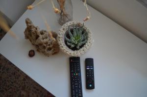 PortoCielo Yoga e Mare img56