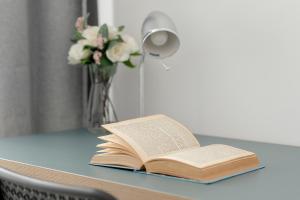 Eleganckie i Stylowe Apartamenty Niedaleko Rynku w Poznaniu by Noclegi Renters