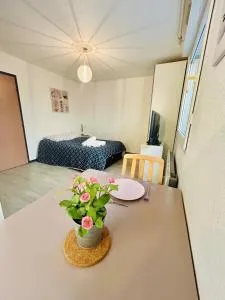 Studio Thermotel 208 - Vaulnaveys-le-Bas