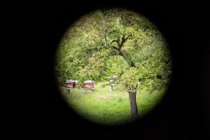 Design-Chalet with Garden, Pool, Spa & Restaurant