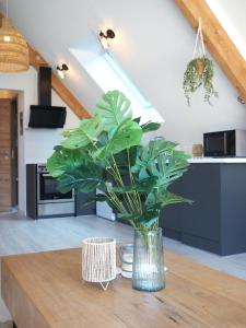 Maisons de vacances Entre Terre & Air : photos des chambres