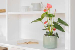 Governo Central Apartment