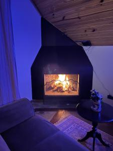 Cabana Ninho dos Cobras