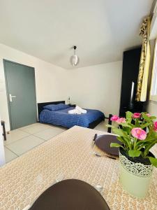 Appartements Studio Thermotel 308 : photos des chambres