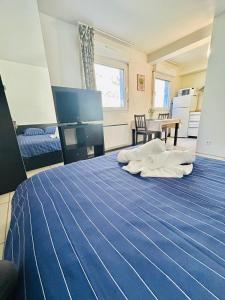 Appartements Studio Thermotel 308 : photos des chambres