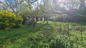 Maisons de vacances Maison, grand jardin, lac 8 min a pied, piste cyclable, 6 couchages : Maison 3 Chambres