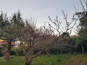 Maisons de vacances Maison, grand jardin, lac 8 min a pied, piste cyclable, 6 couchages : photos des chambres