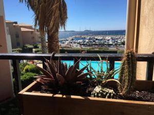 Appartements Blue Lagoon : photos des chambres