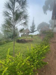 Usambara Sunsetview Lodge